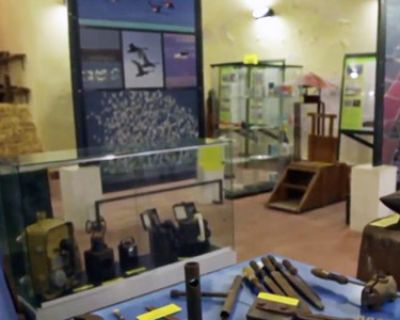 Alcuni reperti del museo della Salina