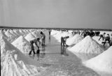 history of saltpan