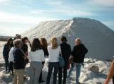 visite guidate Salina e Zona Umida