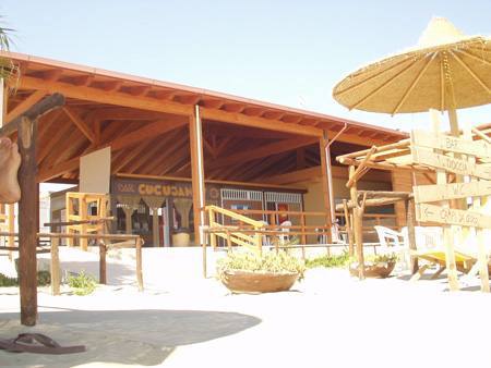 cucujanjy05.jpg